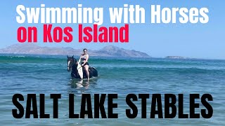 Salt Lake Stables Horse Riding Kos- Swimming With Horses