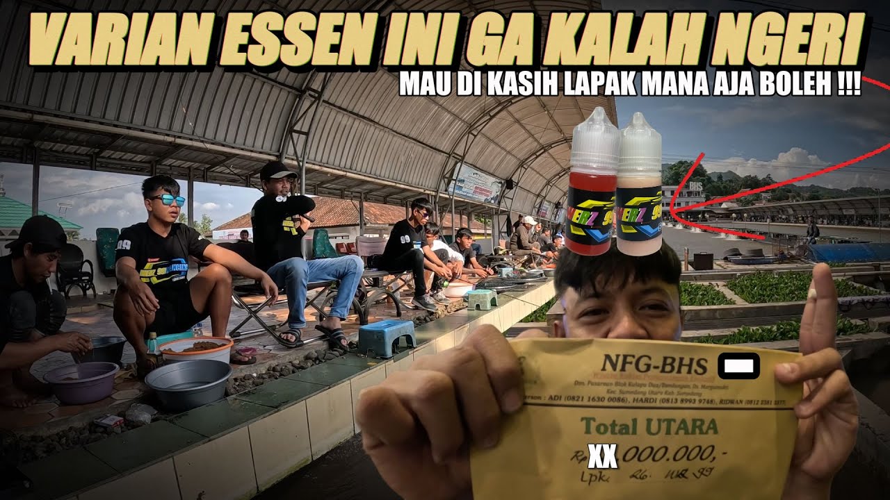 INI NIH !!! TERLALU OVER POWER LAPAK SARANG MUJAER PUN JADI MAKANIN IKAN MAS