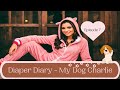 Abdl mommy diaper diary episode 7 short story original my dog charlie