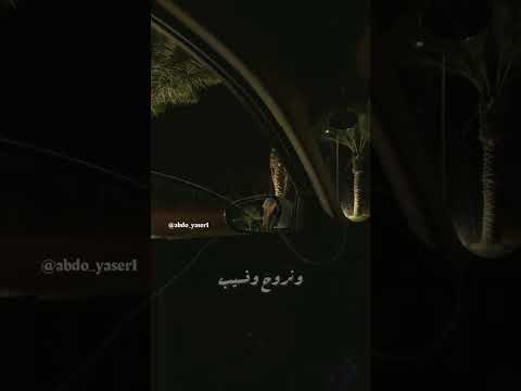 غريب الحب رامي صبري حالة واتس