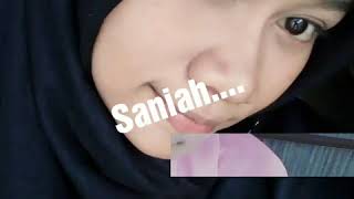 New palapa ( sonia) lirik