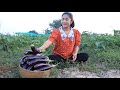 You should try this recipe with eggplant / Harvest eggplant for cooking / Cooking with Sreypov