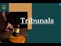 TRIBUNALS | LEC 32 | UPSC, STATE PSC, SSC ,OTHER GOV EXAMS