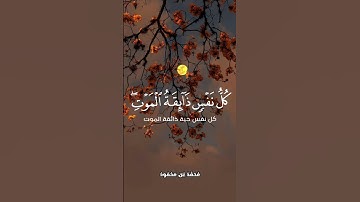 #اسلام_صبحي #قرآن #تلاوة_خاشعة #راحة_نفسية #تلاوة_هادئة #ياسر_الدوسري #عبدالرحمن_مسعد #اسلاميات
