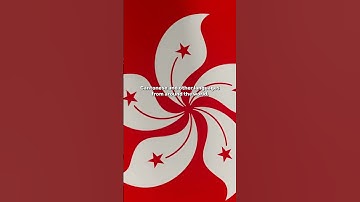 What is the smallest language? 🗣️ #science