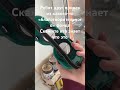 Что это Scpfoundation Scp Scpsl Music врек Что это Scpfoundation Scp Scpsl Music врек
