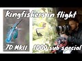 PHOTOGRAPHING KINGFISHERS IN FLIGHT | Canon 7d mkii &amp; 100-400mm f4.5-5.6 | 1000 SUBSCRIBER SPECIAL