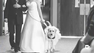 Photo of bride and service dog is capturing our hearts Photo of bride and service dog is capturing our hearts