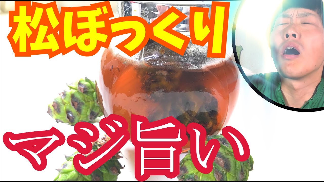 How to Make Pine Cone Jam: Recipe [Homemade Jam] - YouTube