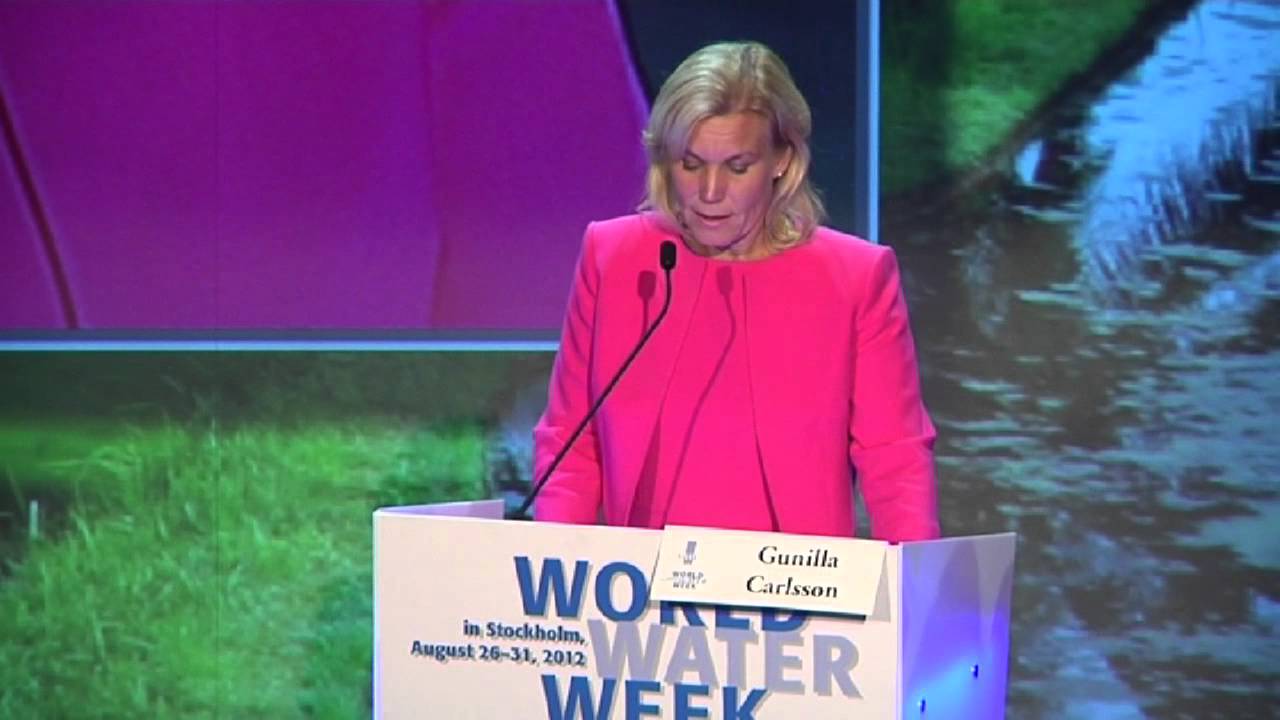 2012 Opening Plenary: Official Opening Address - Gunilla Carlsson