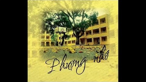 Một thời áo trắng. tập thể lớp 12/8 THPT Phan Châu Trinh_tiên phước_Quảng Nam