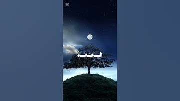 قرآن كريم 💝💝#المنشاوي #قران_كريم #راحة_نفسية