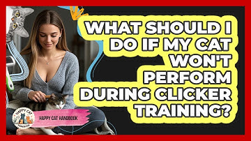 What Should I Do If My Cat Won