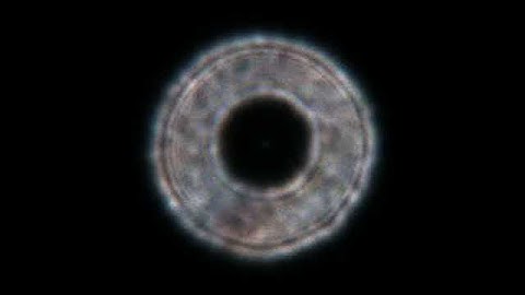 CPC9.25 SCT Collimation