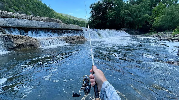 Spillway Fishing for ANYTHING That Bites (LOADED with FISH!)