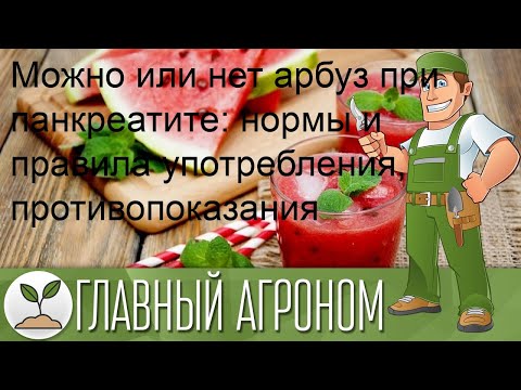 Можно или нет арбуз при панкреатите: нормы и правила употребления, противопоказания