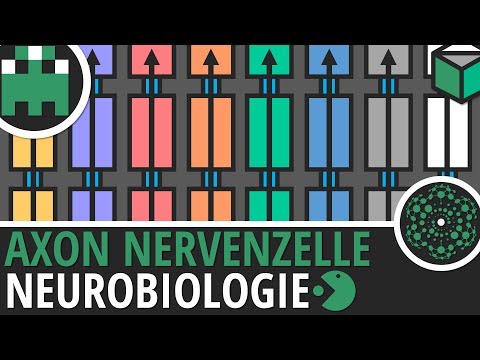 #Signalsequenz #Protein #Aminosäure Was sind Signalsequenzen? Wozu dienen Signalsequenzen? Was sind . 