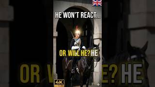 He Won’t React… Or Will He? 😳 | London Horse Guards Moment 🇬🇧