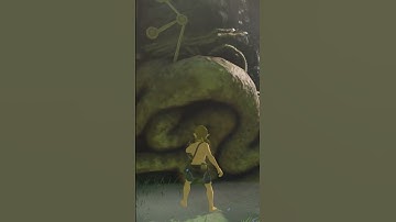 The 3D Softlock Challenge