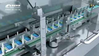 Blister packing cartoning packaging line animation demo