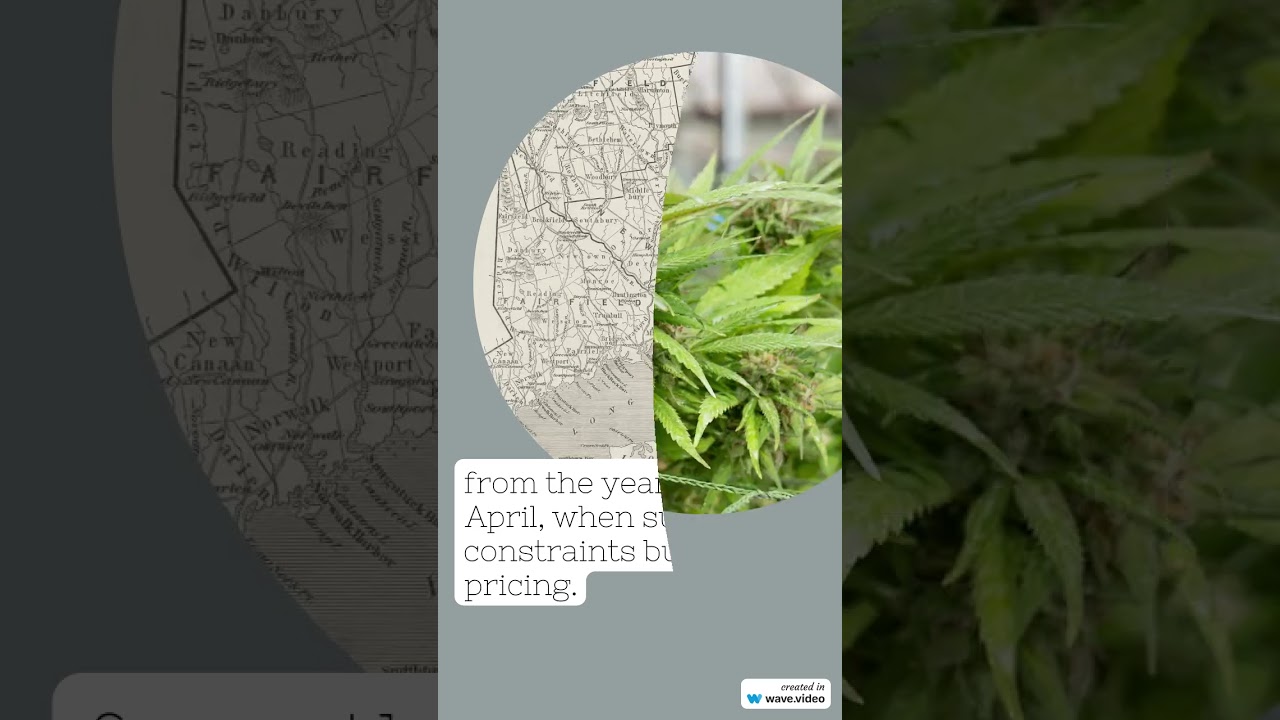 Cannabis Benchmarks US Spot Index Report - Oct 11, 2024 