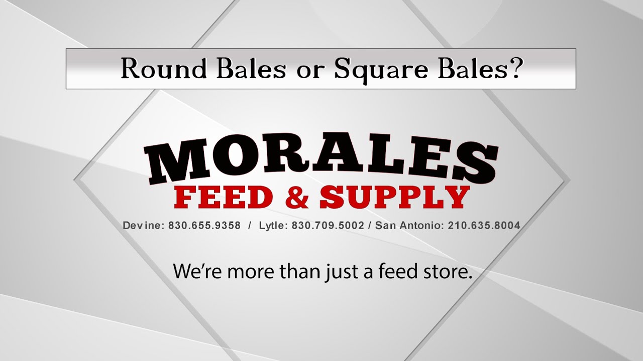 Square Bales VS Round Bales Morales Feed & Supply YouTube