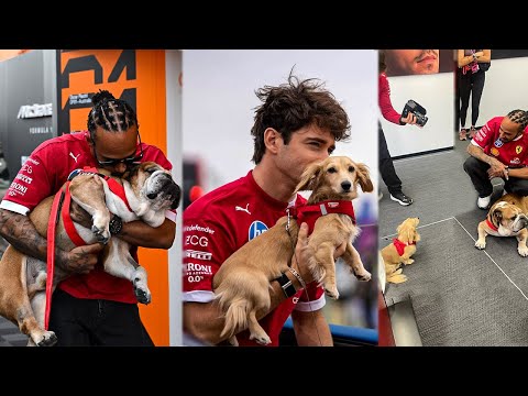 Hamilton and Leclerc