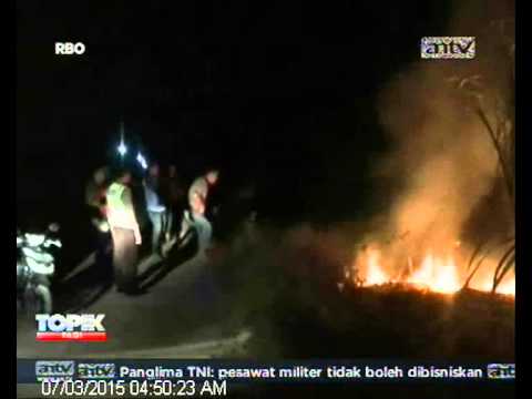 Video: Pupuk 