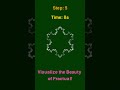 Triangle Fractal Animation - Mathematical Beauty in Motion | Koch Snowflake Pattern