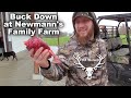 Buck Down at Newmann's Family Farm