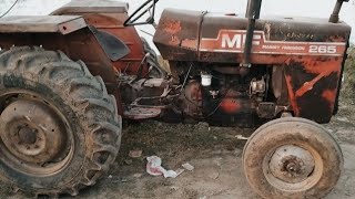 Mey Ferguson Mf 265