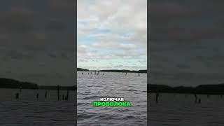 Российско-Финская Граница: Неприступная Крепость Путинизма #shorts