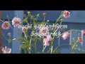 【🎵おうちガーデンサントラ&ダイジェスト映像】前回の動画のサウンド｜春の庭の映像と夏から秋の庭のダイジェスト版で🎵【playlist】