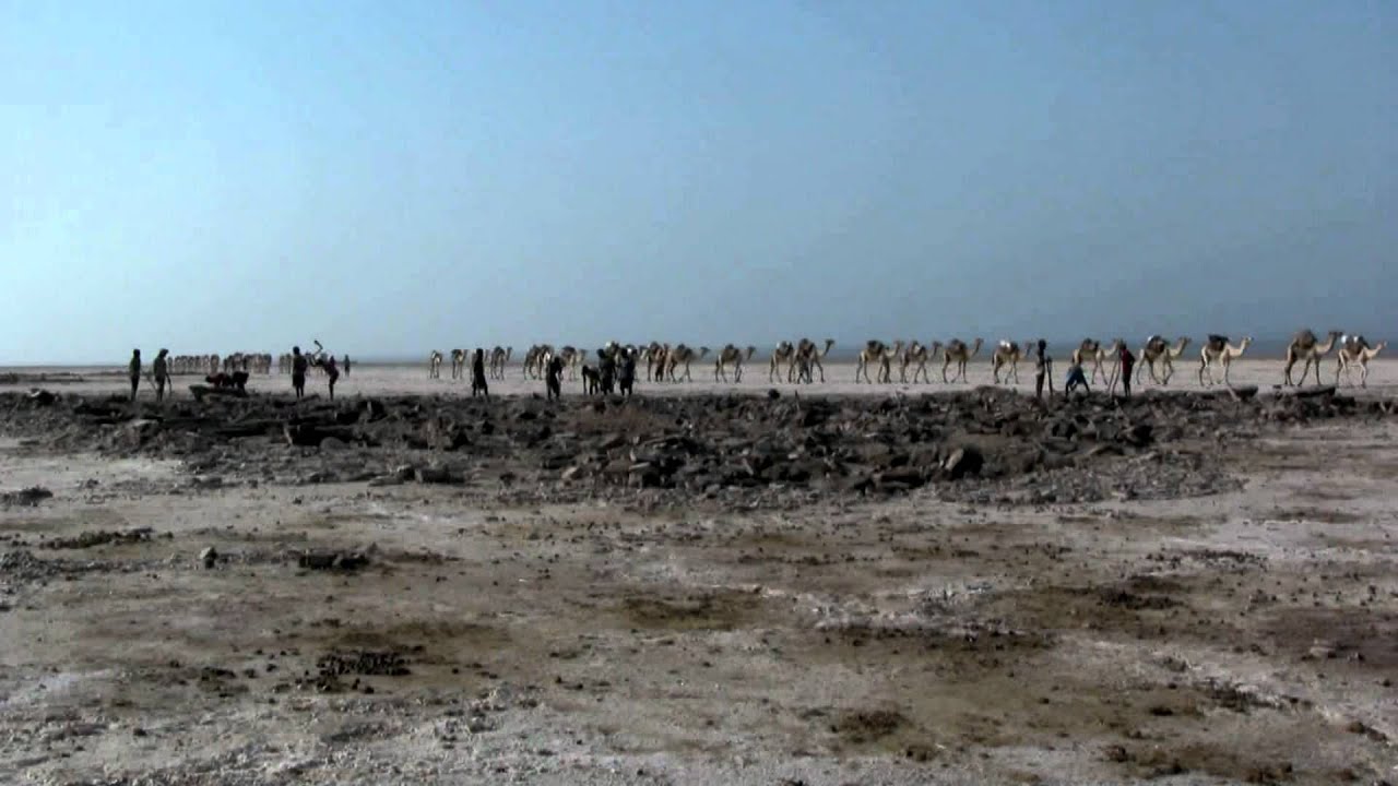 Les Afars D Ethiopie Dans L Enfer Du Danakil