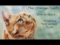Start a Painting: How to Watercolor Cat Eyes - Trace, Mask Whiskers, Wet in Wet Background +More