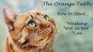 Start a Painting: How to Watercolor Cat Eyes  Trace, Mask Whiskers, Wet in Wet Background +More