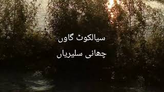 Sialkot flood #flood #sialkotflood #floodalert