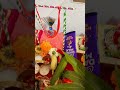 Janmasthmi Celebration #shorts
