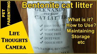 Bentonite cat litter [What is it, How to  Use/Maintenance]  Ep 344 | Life Thoughts Camera