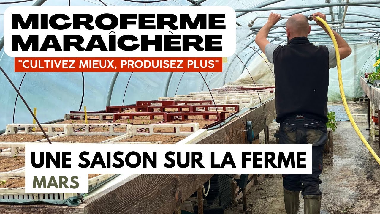 Une saison sur une microferme maraîchère : Mars