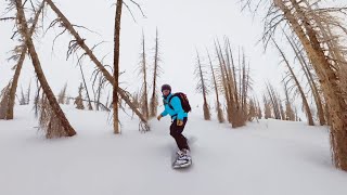 Snowboarding the Dead Forest on Wolf Creek Pass