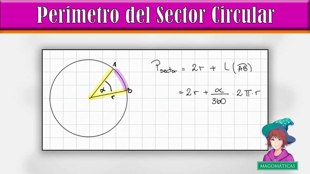 ¿Cómo Calcular el Perimetro del Sector Circular? - YouTube