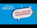 «Ёлка, свечки, мандарины». Серия 5. Почему не березка?