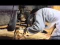 Broken Sway Bar Link Removal Replacement Dodge Caravan