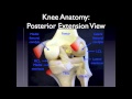 SdMskProject Knee Exam part 1 Anatomy