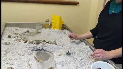 Mock stream table shows a flood