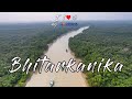 Inside India&#39;s Second Largest Mangrove Wetland: Bhitarkanika |I Love My Odisha Ep 6|Curly Tales
