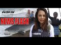 Summer fish are HERE!!! | Monster Tiger Shark | ASFN News Flash