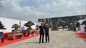 VDBS : MỘT SỐ CÂY VÀ ĐỒ ĐÁ CỔ TẠI TRIỂN LÃM HOÀNG LONG THANH HOÁ - KHAI MẠC NGÀY 08/12/2024