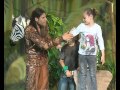 רוי בוי וזיקית סדרה לילדים רוי בוי וזיקית סדרה לילדים